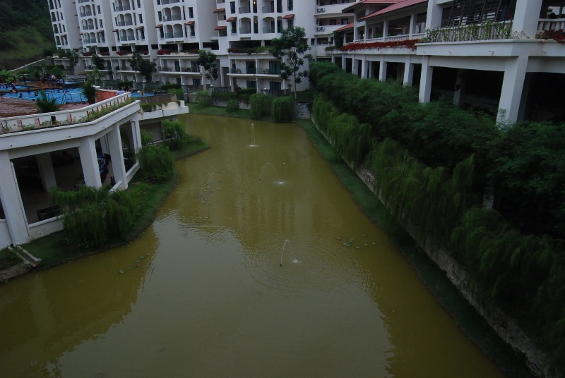 DSC 5877